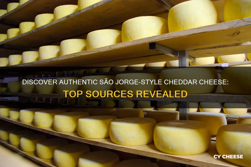 where find good chedar cheese like sao jorge cheese