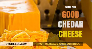 Discover the Best Cheddar Cheese: Top Sources and Tips