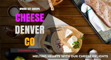 Denver's Best Sheep Cheese: Where to Find It