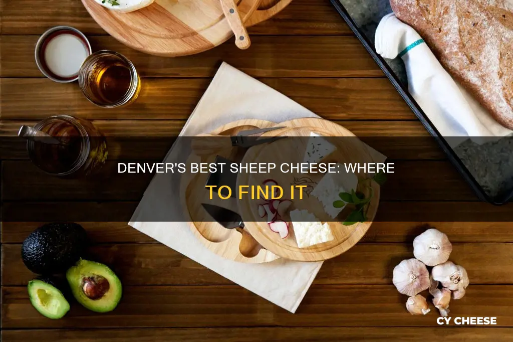 where get sheeps cheese denver co