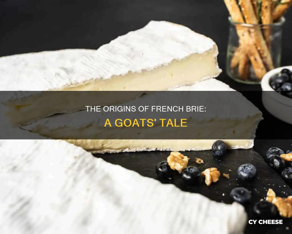 where in france does goat cheese brie come from