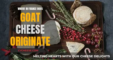 The Origins of French Goat Cheese: A Regional Journey