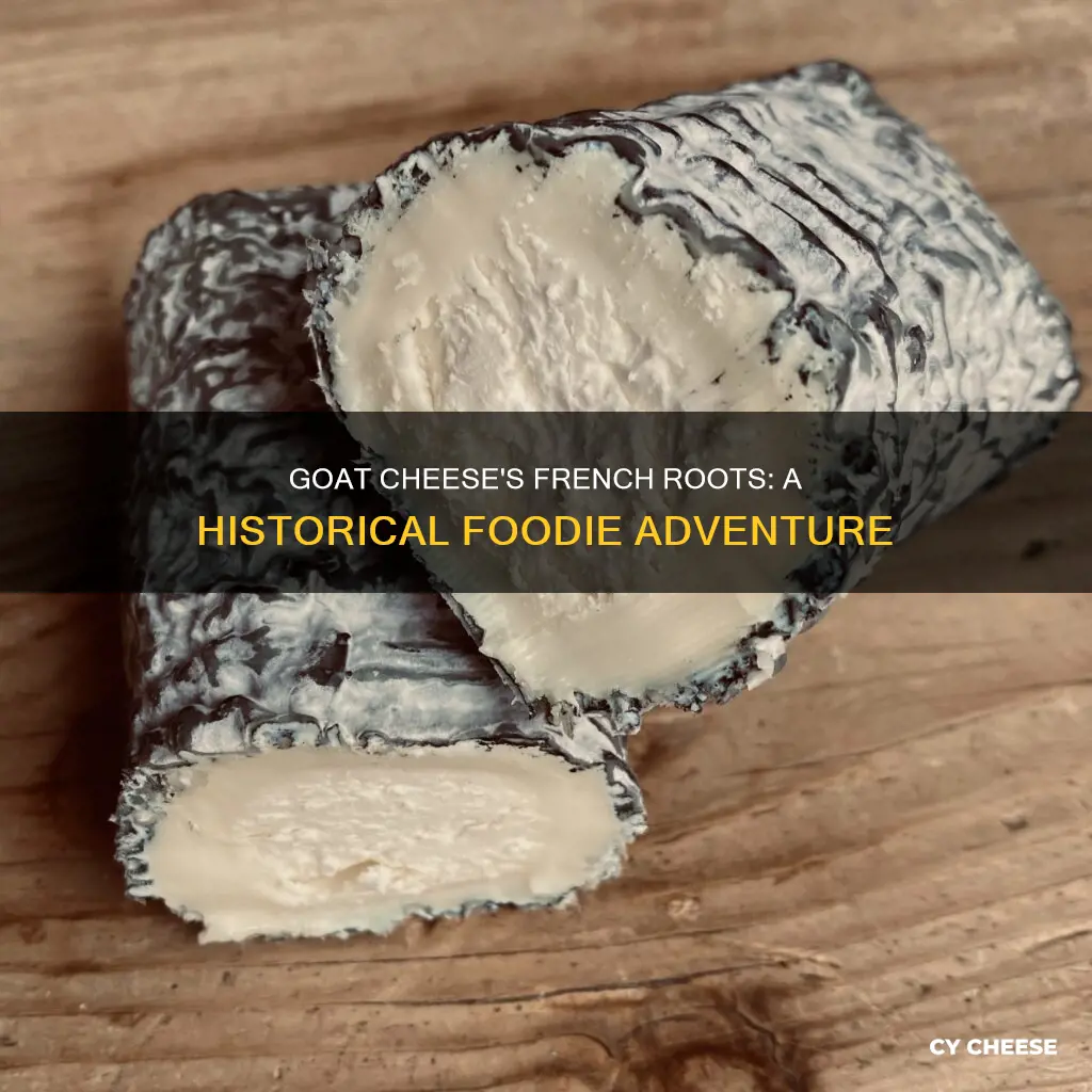 where in france does goat cheese originate