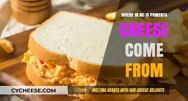 Discovering the NC Origins of Pomenta Cheese: A Local Delight