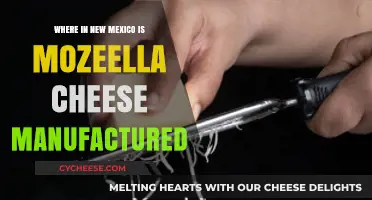 Discovering New Mexico's Mozzarella Cheese Manufacturing Locations