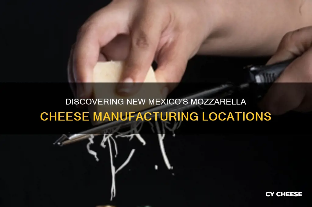 where in new mexico is mozeella cheese manufactured