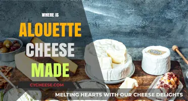 Alouette Cheese: Unveiling the Origin of This French Delight