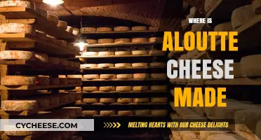 Aloutte Cheese: Unveiling the Secrets of its Origin