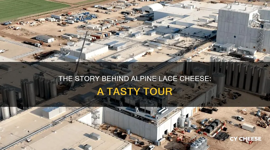 where is alpine lace cheese made