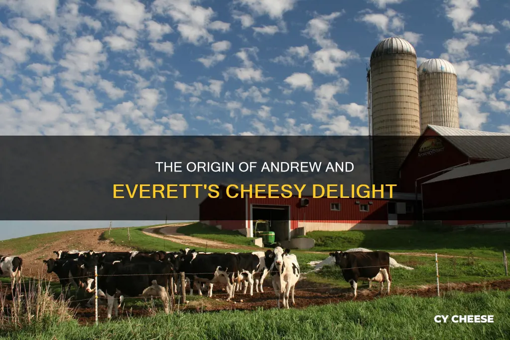 where is andrew and everett cheese made