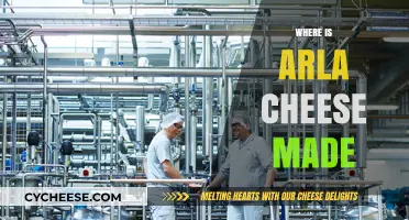 Arla's Origin Story: Where the Cheese is Crafted