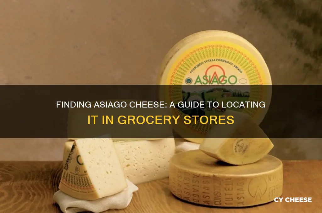 where is asiago cheese in the grocery store