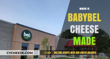 Babybel's Origin: Unveiling the Cheese's True Home