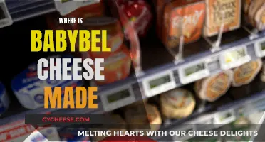 Babybel Cheese: Where is it Made?