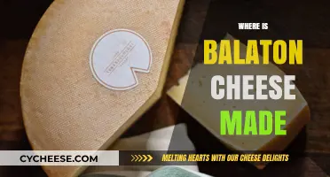 Balaton Cheese: Unveiling the Secrets of its Origin