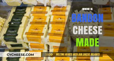 Bandon Cheese: A Journey to the Oregon Coast