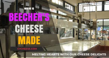 Beecher's Cheese: A Journey to the Perfect Craft