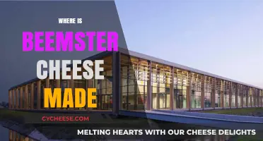 Beemster Cheese: A Dutch Delicacy Unveiled