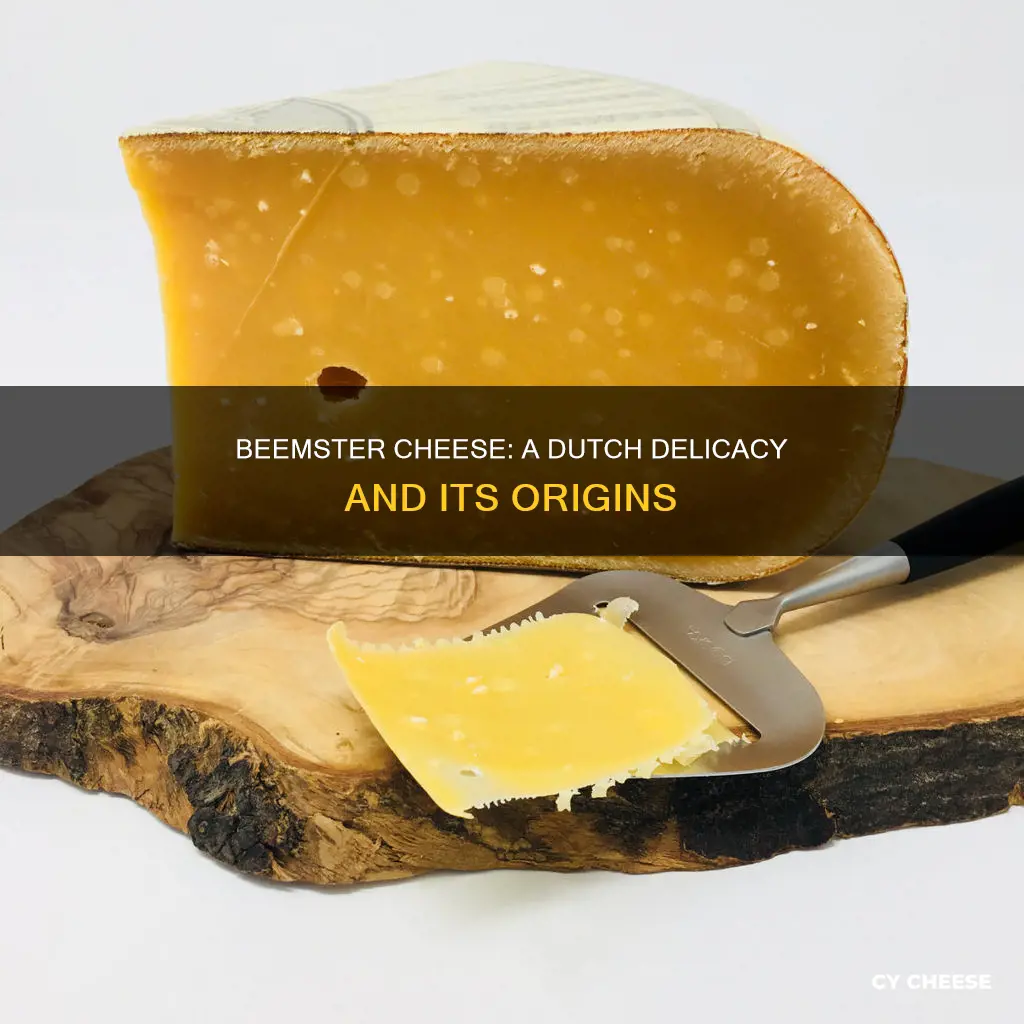 where is beemster cheese made