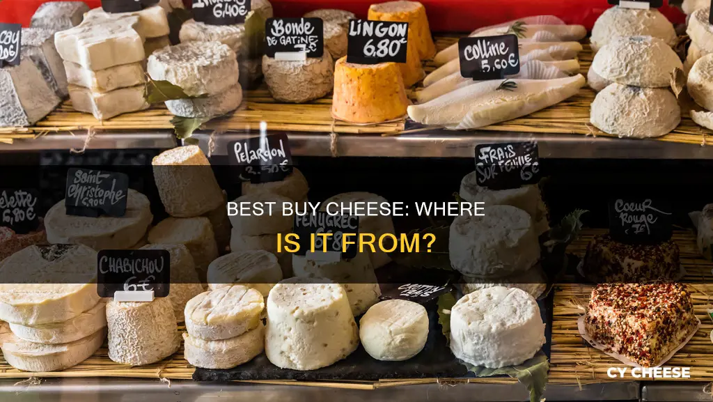 where is best buy cheese made