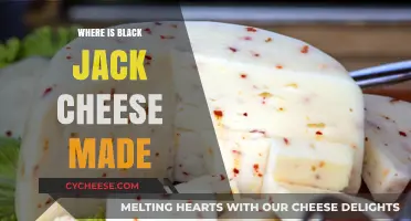 Black Jack Cheese: Unveiling the Origin of a Classic