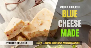 Black River Blue Cheese: A Tasty Wisconsin Treat
