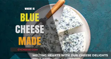 The Origins of Blue Cheese: A Global Journey