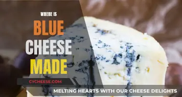Blue Cheese Origins: Where Is It Made?