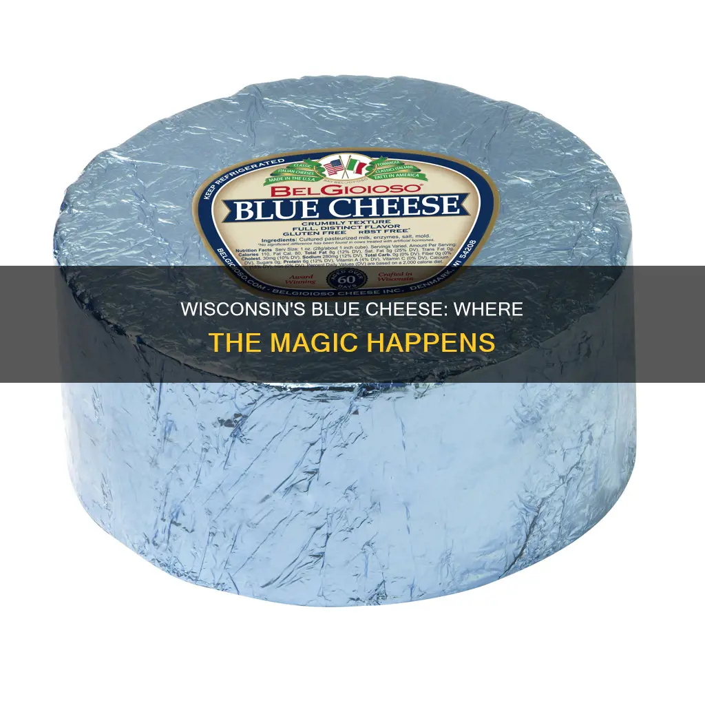 where is blue cheese typically made in wisconsin