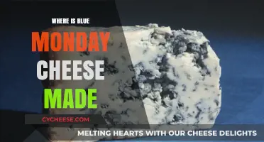 Blue Monday's Origin: Unveiling the Cheese's True Home