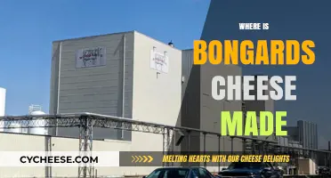 Bongards Cheese: Unveiling the Origin of a Delicious Treat