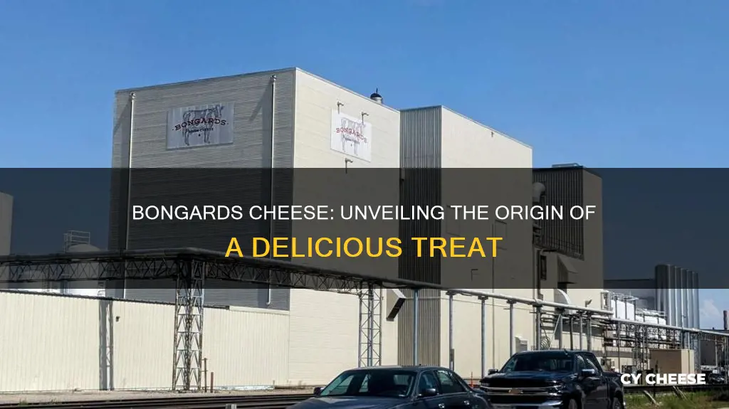 where is bongards cheese made