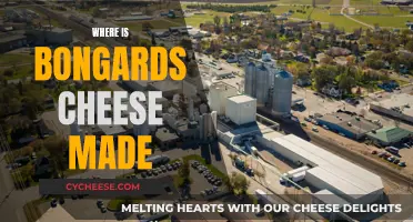 Bongards Cheese: A Tasty Minnesota Treat