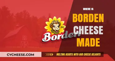 Borden Cheese: Unveiling the Origin of a Classic American Brand