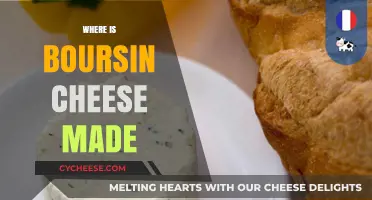 The Origin of Boursin: A Cheesy Journey