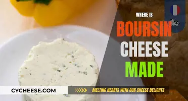 The Making of Boursin Cheese: A French Delicacy