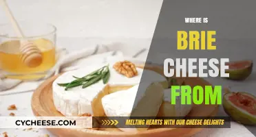 Brie Cheese Origins: Exploring the French Region Behind This Creamy Delight