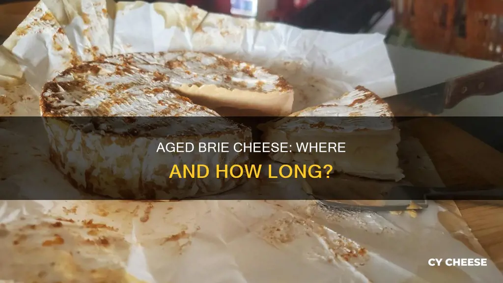 where is brie cheese how long is it aged