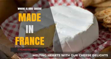 Brie's Origin: Unveiling France's Cheesy Delicacy