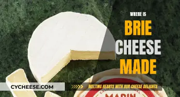 Brie Cheese: A French Delicacy Explored