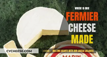 The Making of Brie Fermier Cheese: A French Delicacy