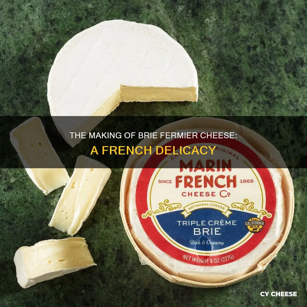 where is brie fermier cheese made