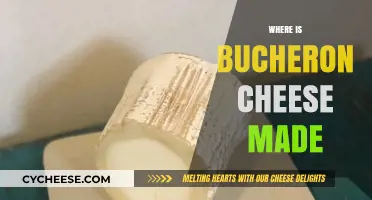 Bucheron Cheese: Unveiling the Origin of French Delicacy