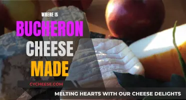 Bucheron Cheese: A Taste of France's Loire Valley