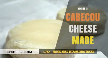 Cabecou Cheese: Unveiling the Origin of This French Delicacy