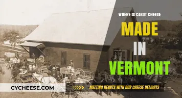 Cabot Creamery's Vermont Roots: Where the Cheese is Crafted