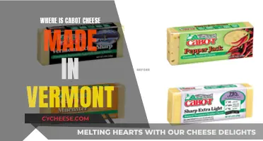Cabot Cheese: Vermont's Artisanal Dairy Delights