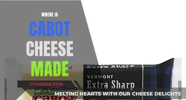Cabot Cheese: Vermont's Artisanal Cheese, Made with Love