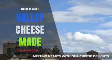 Cache Valley Cheese: Unveiling the Origin of a Delicious Treat