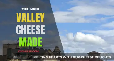 Cache Valley Cheese: A Local Treasure, Made in the USA